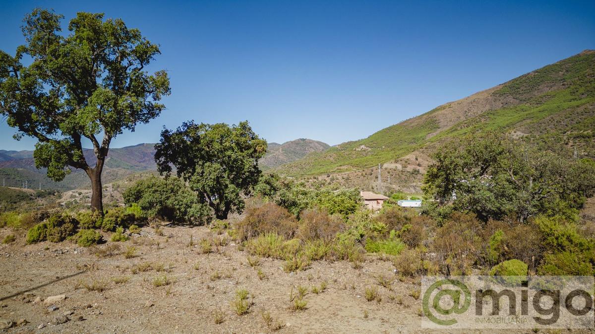 Venta de terreno en Marbella