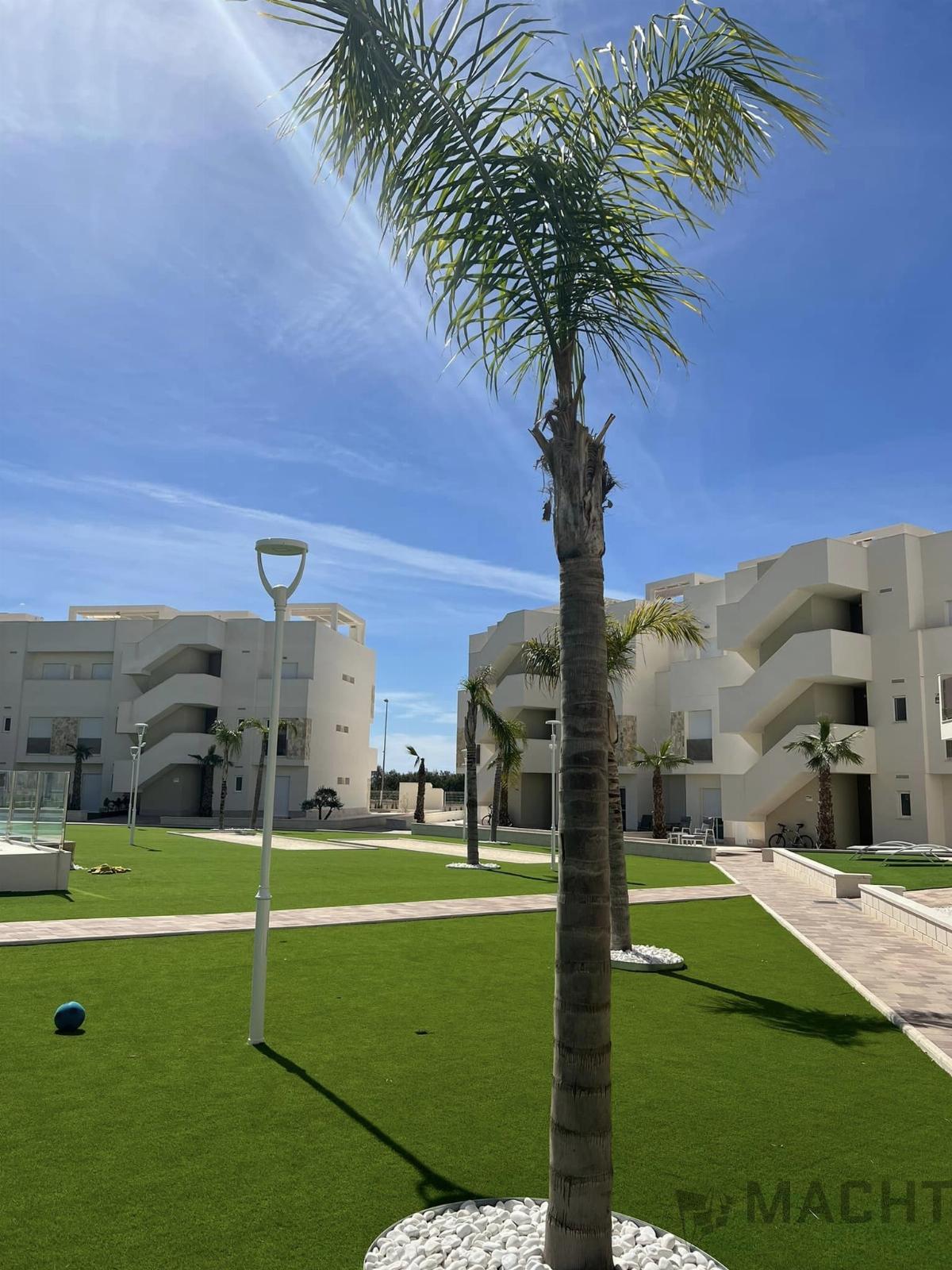 For sale of apartment in Guardamar del Segura