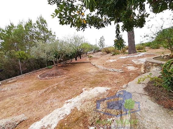 Jardín
