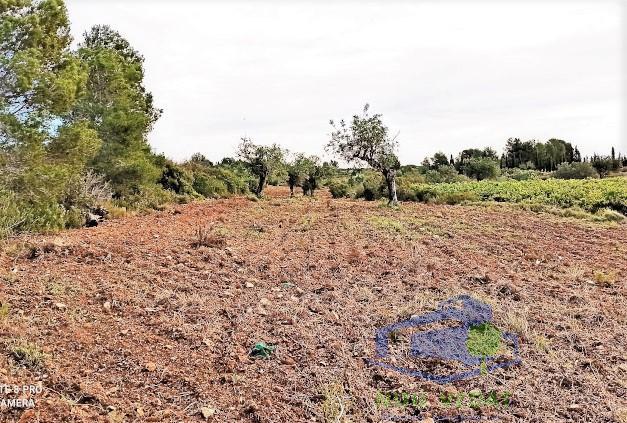 Venta de casa en Llombai