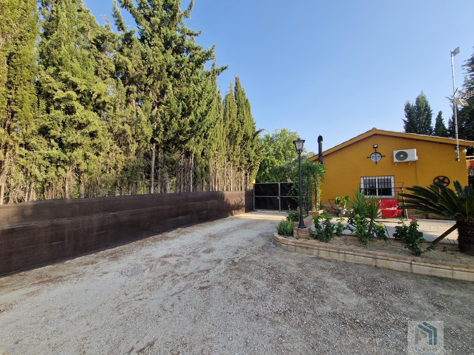 Venta de terreno en Montilla Venta de terreno en Montilla