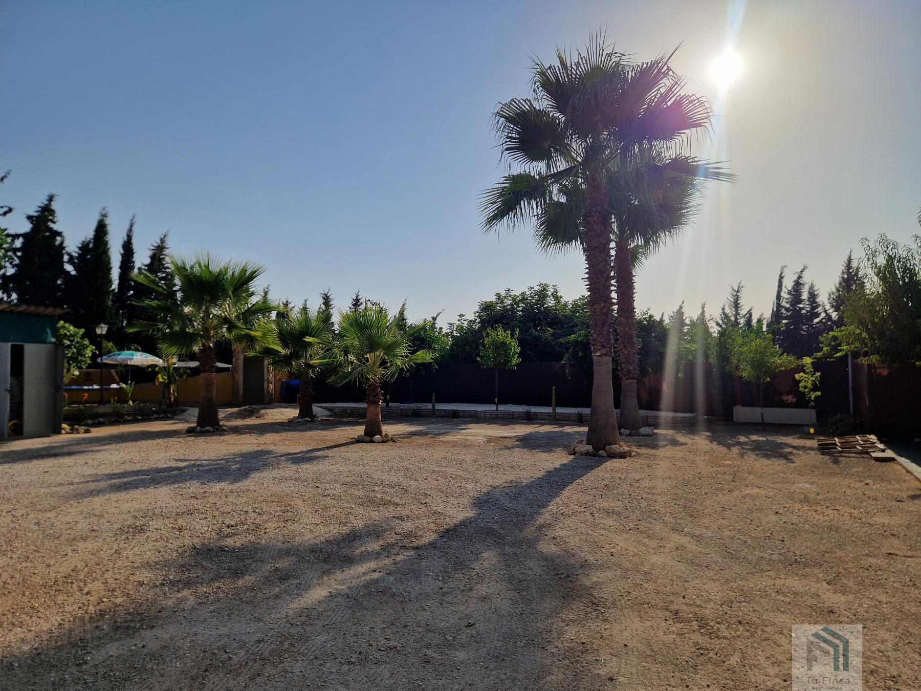 Venta de terreno en Montilla Venta de terreno en Montilla