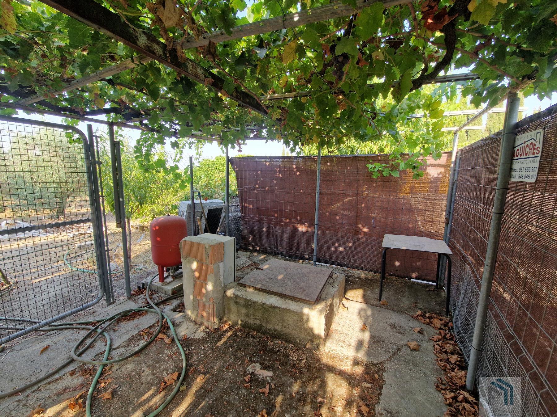 Venta de terreno en Montilla Venta de terreno en Montilla