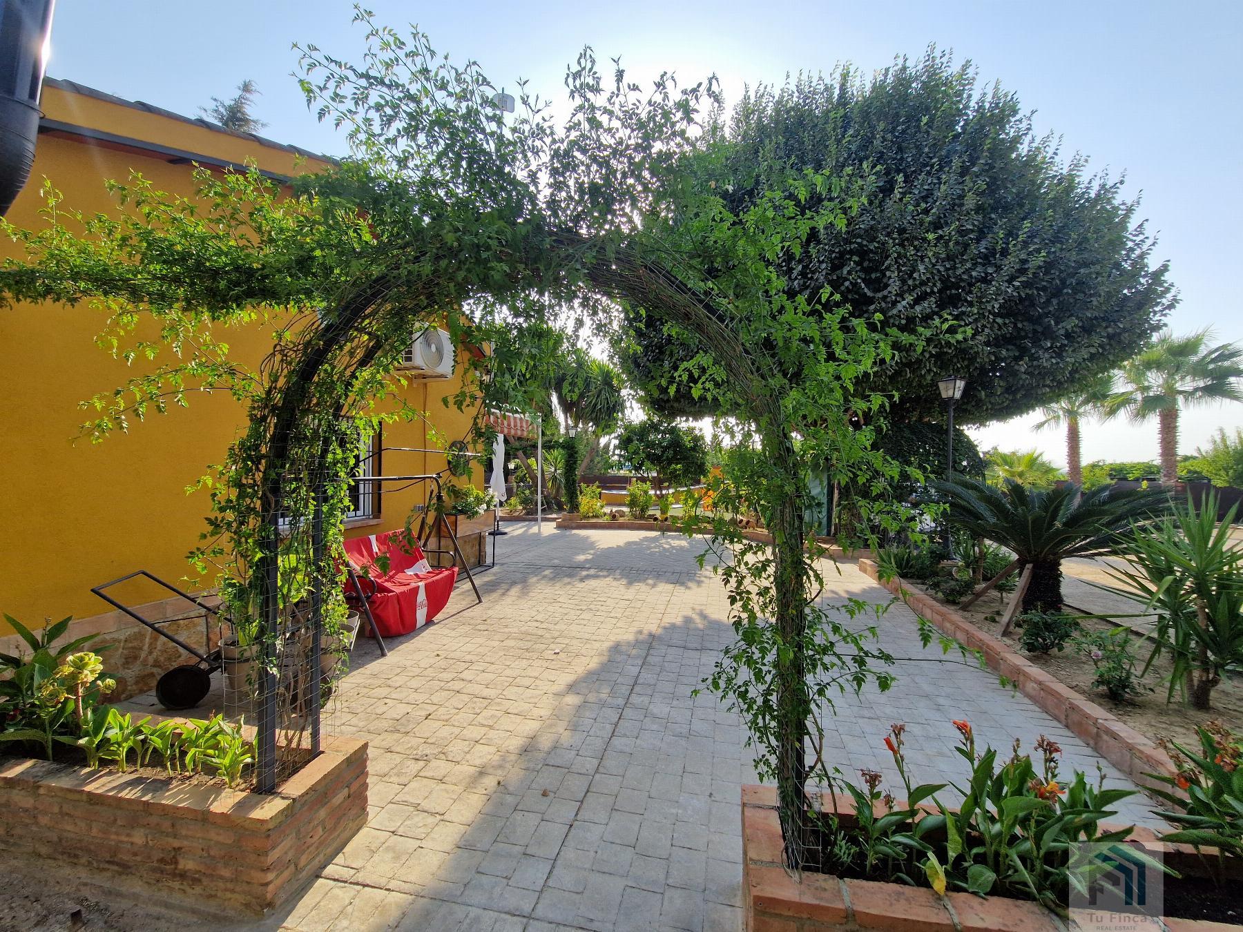 Venta de terreno en Montilla Venta de terreno en Montilla