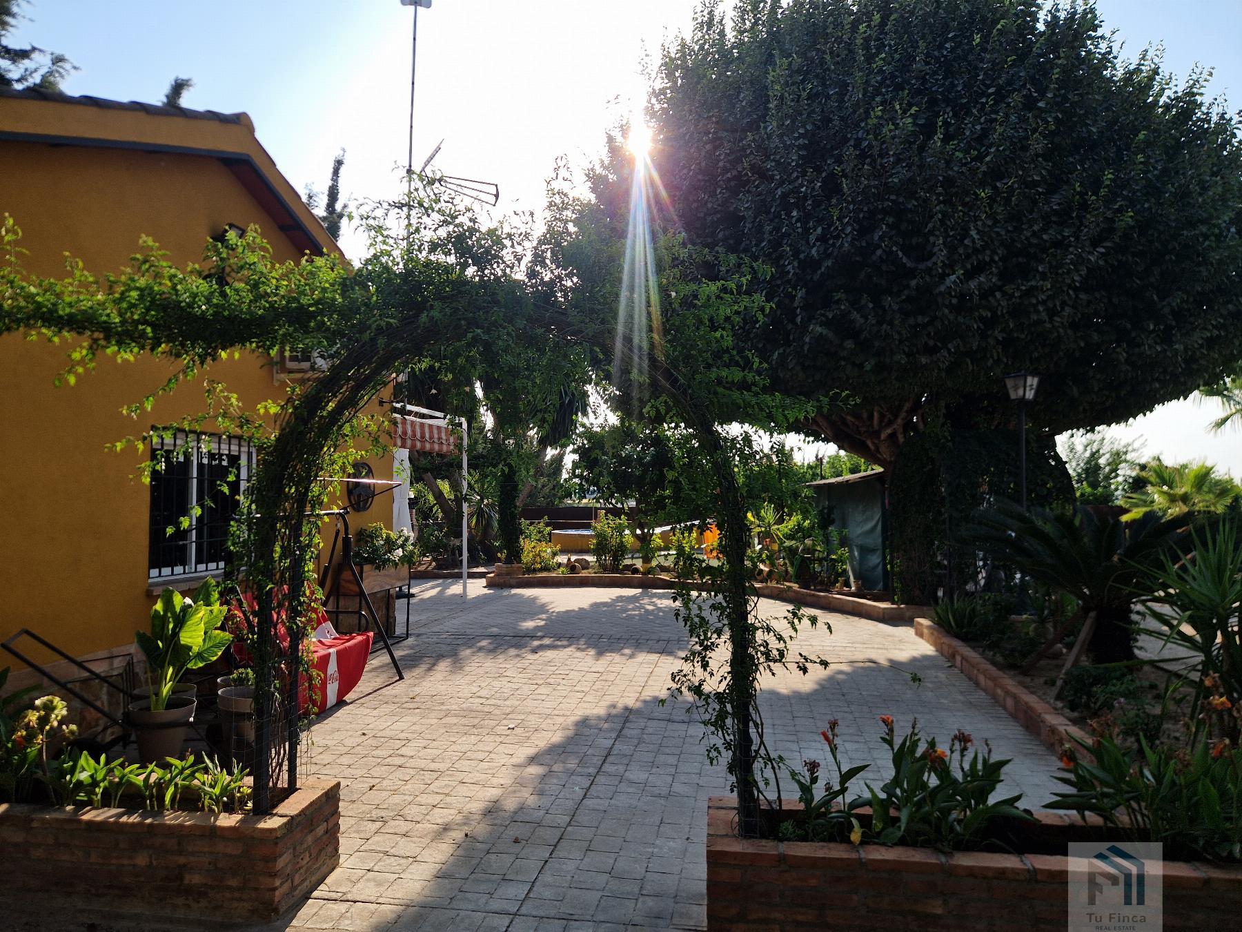 Venta de terreno en Montilla Venta de terreno en Montilla