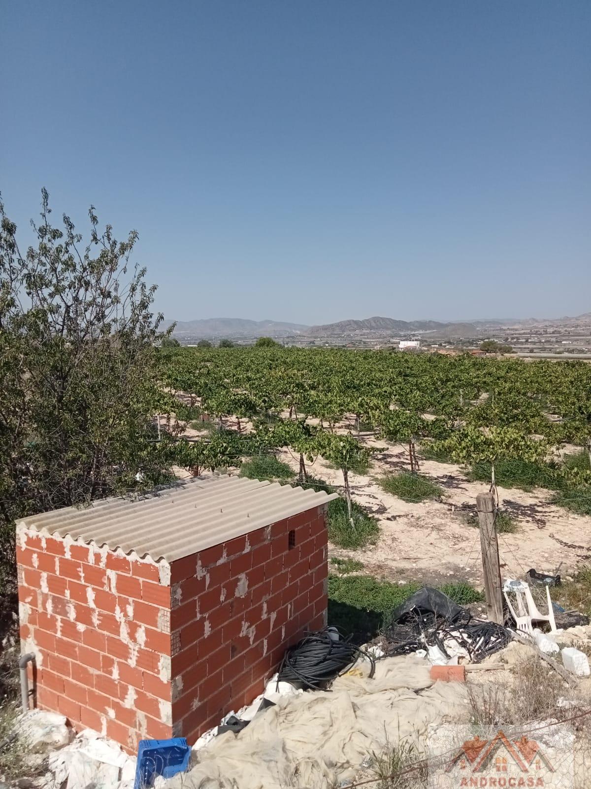 For sale of rural property in Alicante