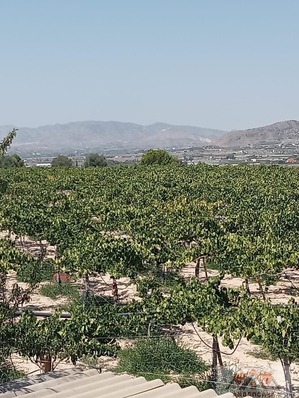 For sale of rural property in Alicante