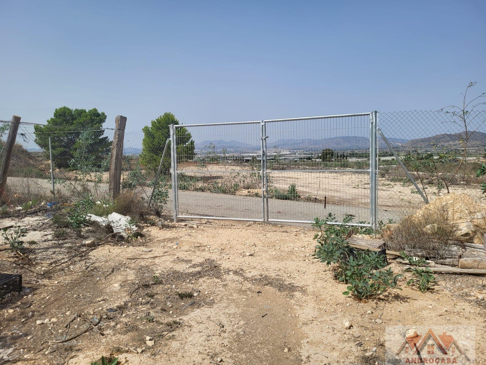 For sale of rural property in Alicante