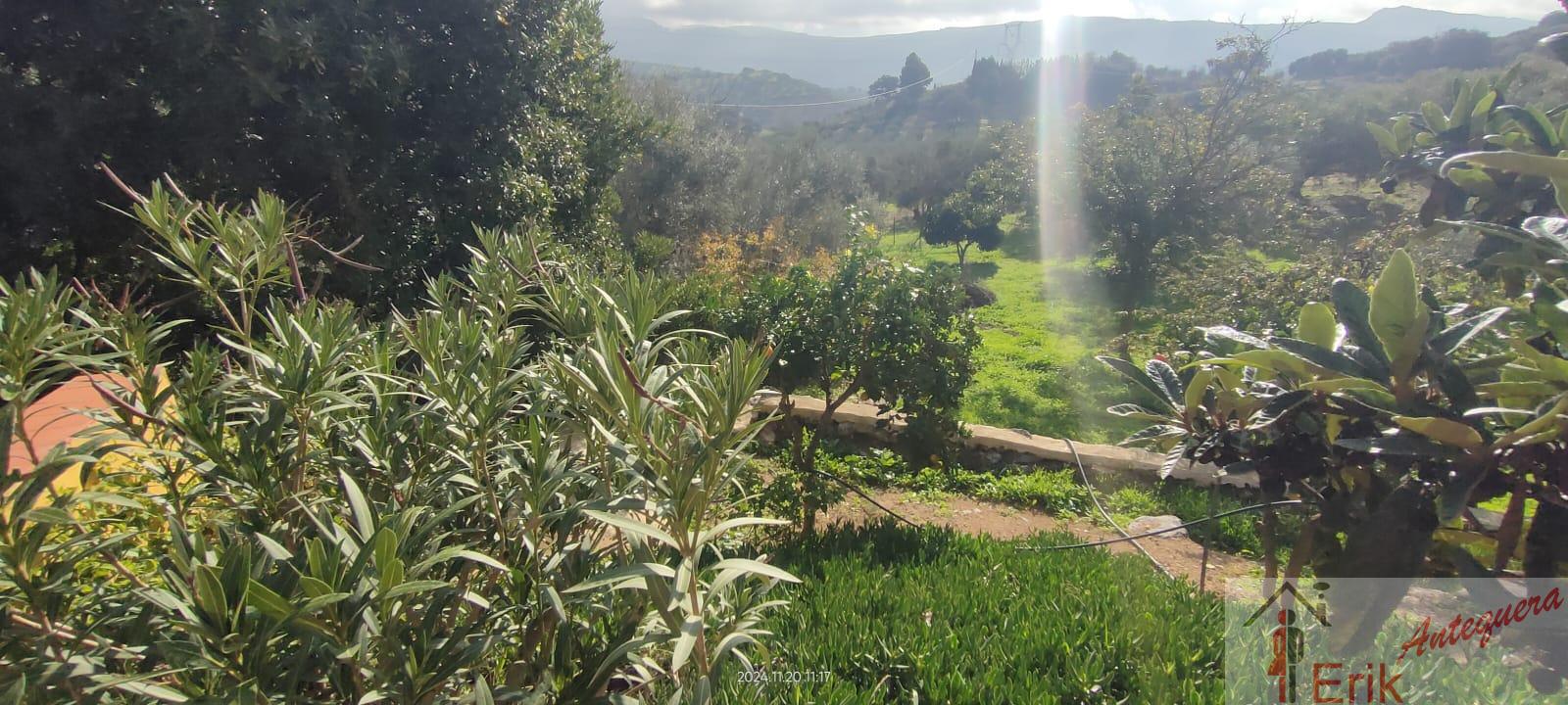 For sale of house in Antequera
