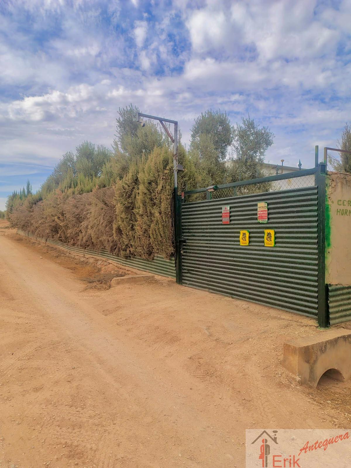Venta de finca rústica en Fuente de Piedra