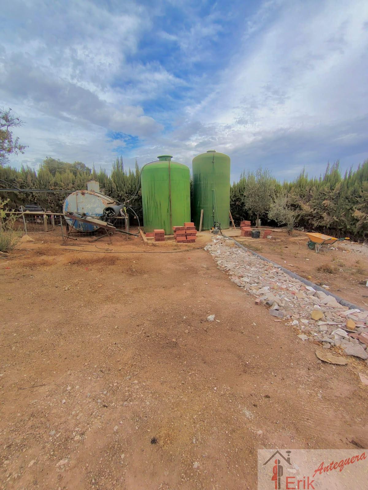 Venta de finca rústica en Fuente de Piedra