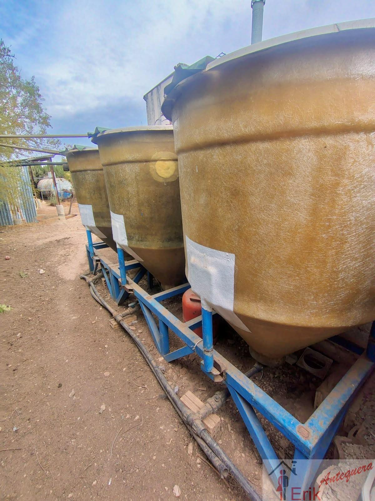 Venta de finca rústica en Fuente de Piedra