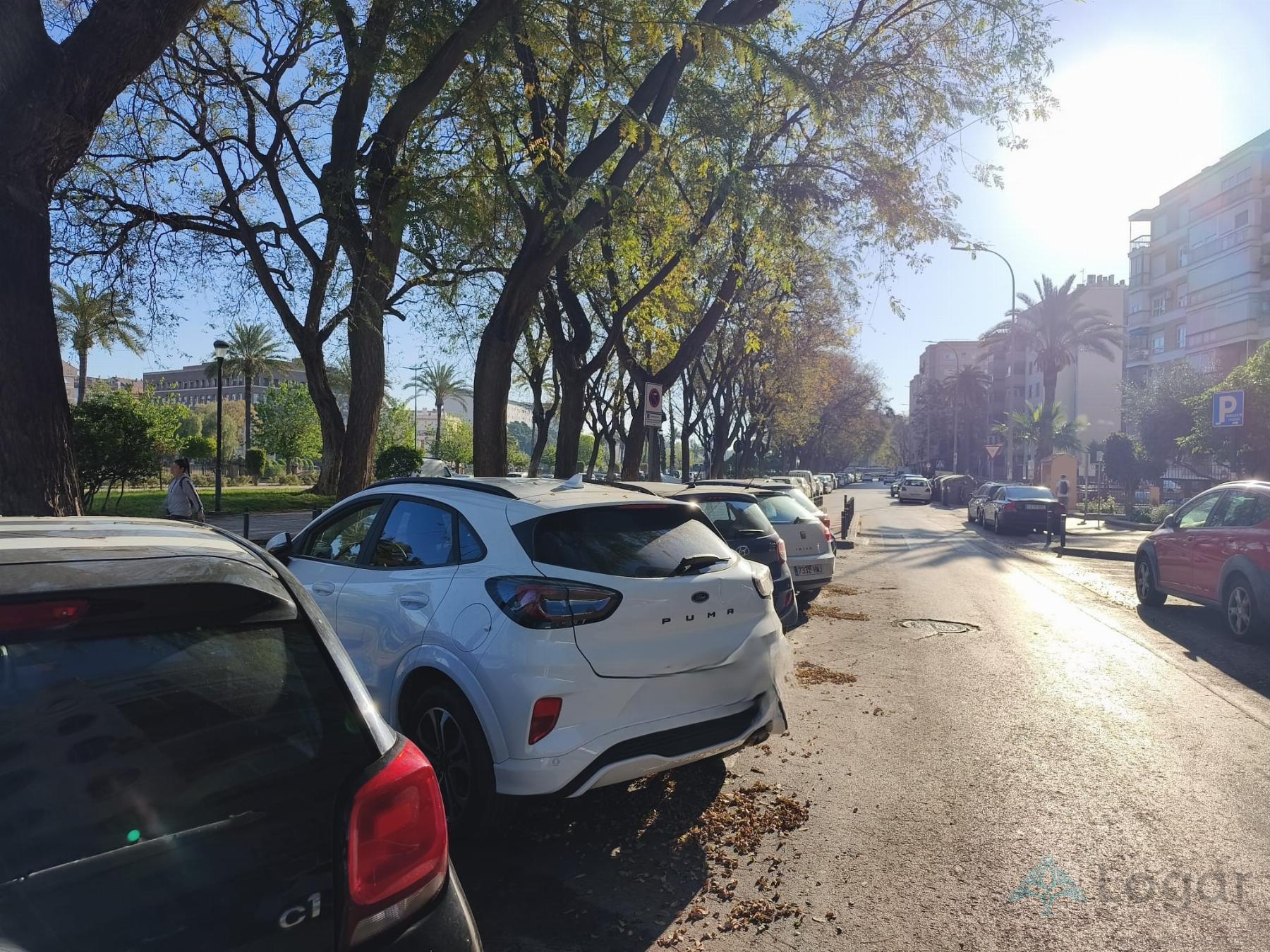 Alquiler de local en Murcia