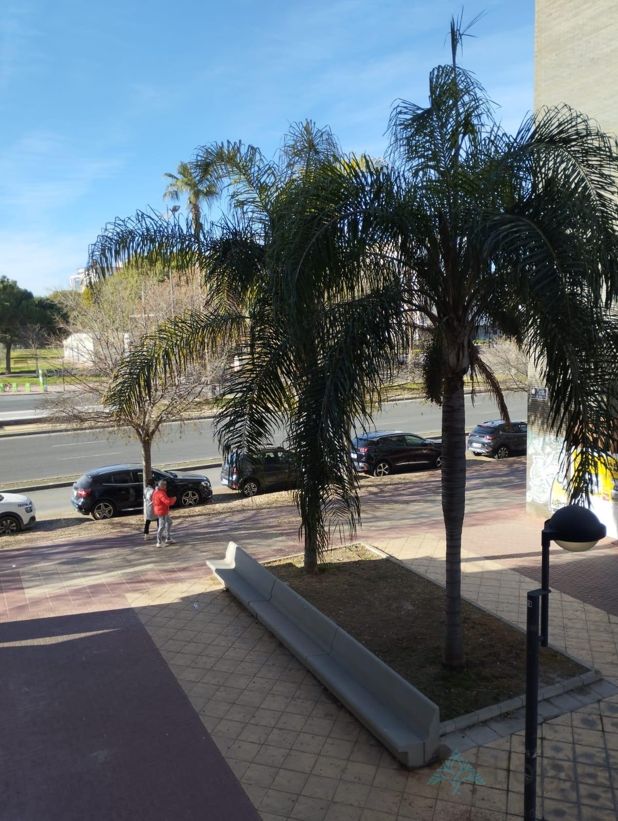 Alquiler de piso en Murcia