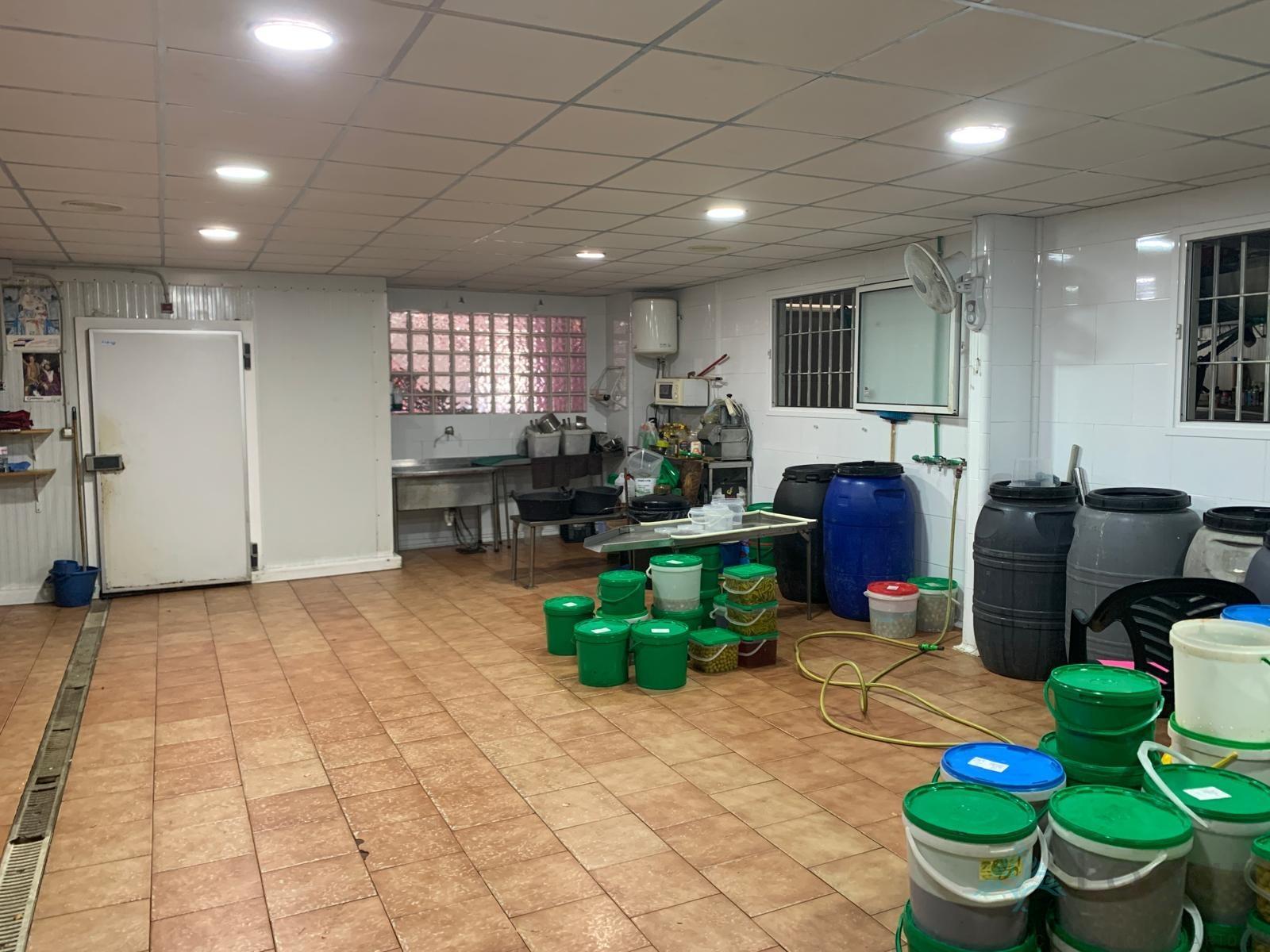 For sale of industrial plant/warehouse in Molina de Segura