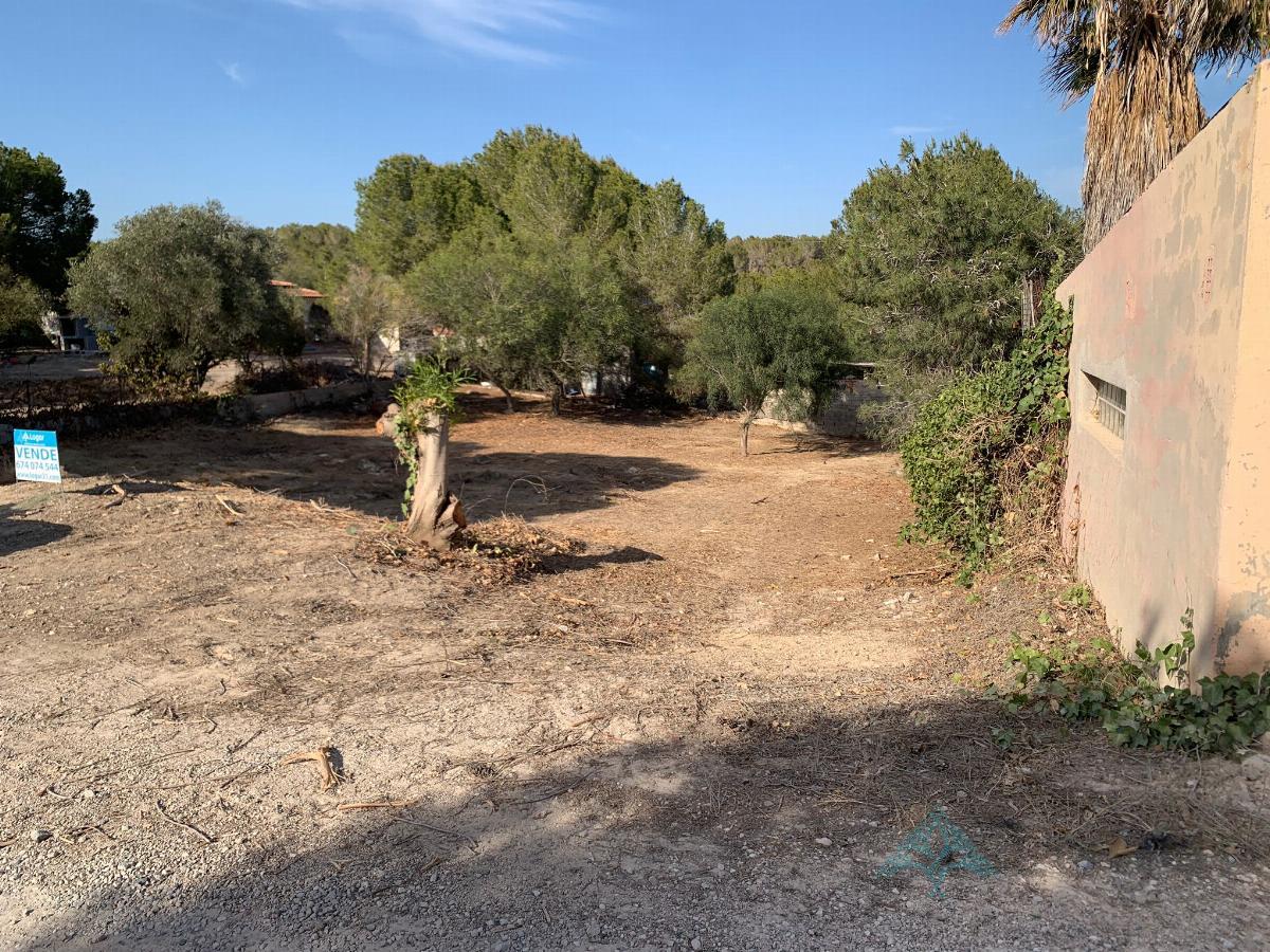 For sale of land in Murcia