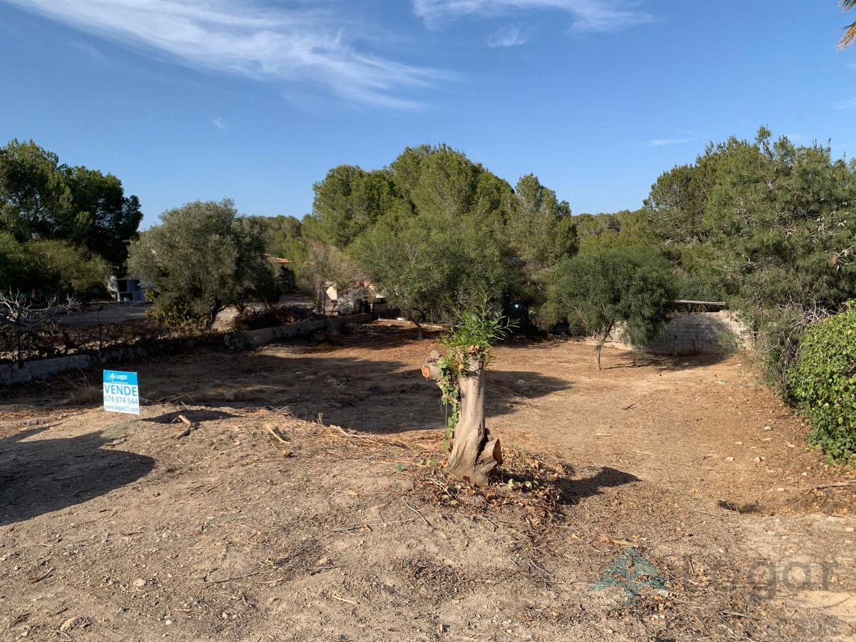 For sale of land in Murcia