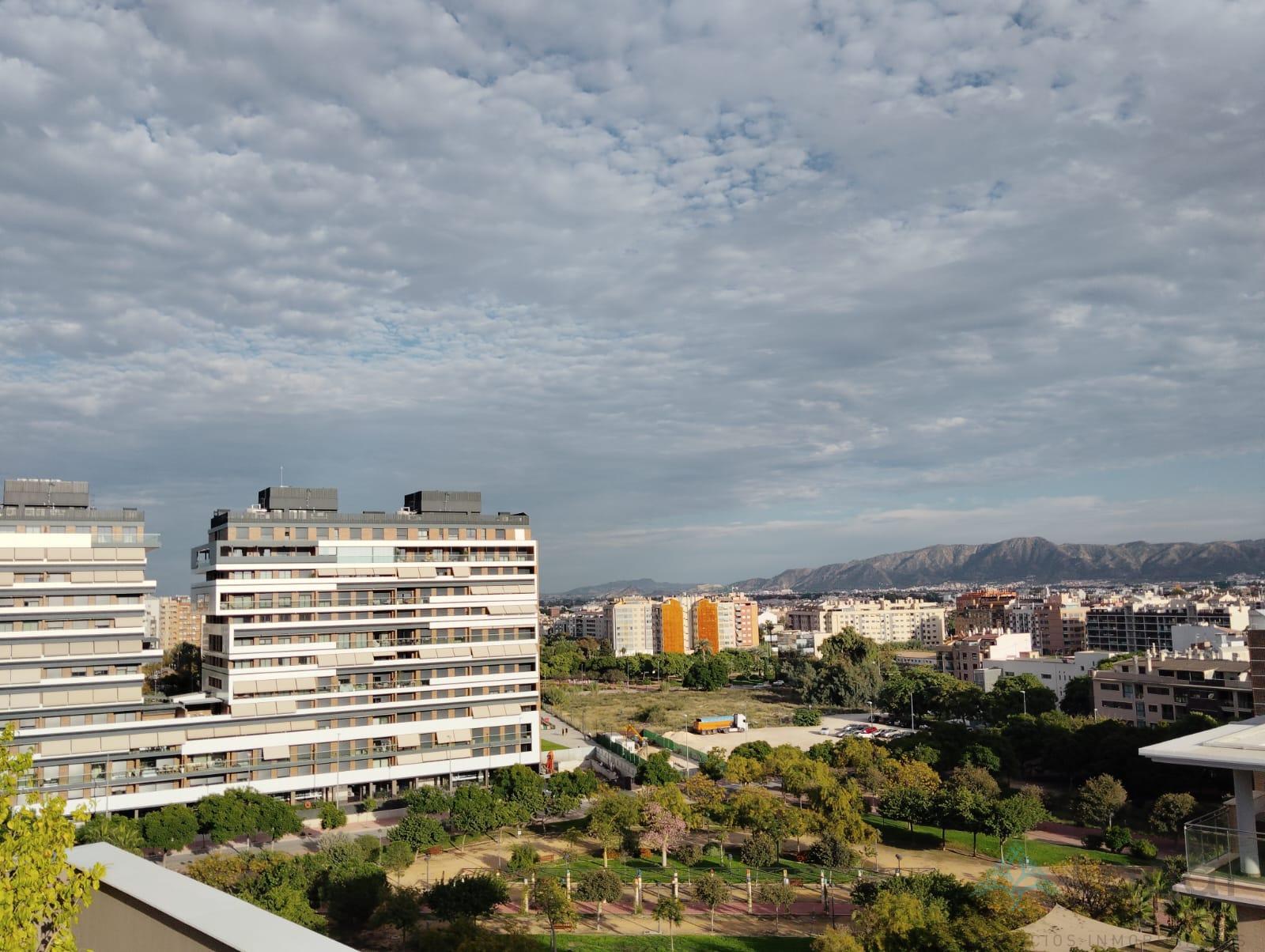 Alquiler de piso en Murcia Alquiler de piso en Murcia
