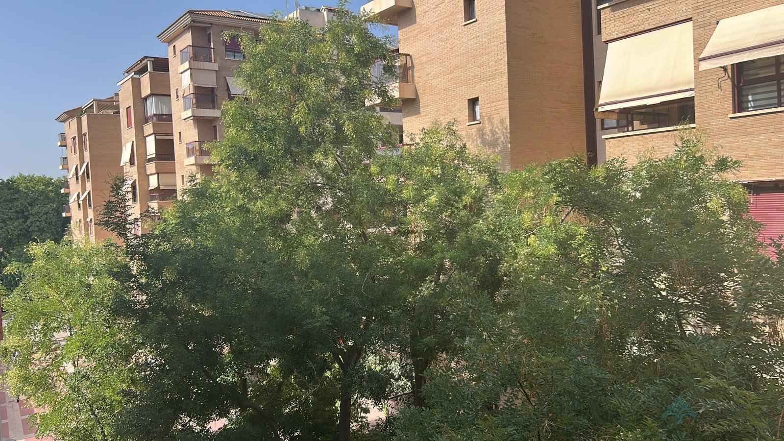 Alquiler de piso en Murcia