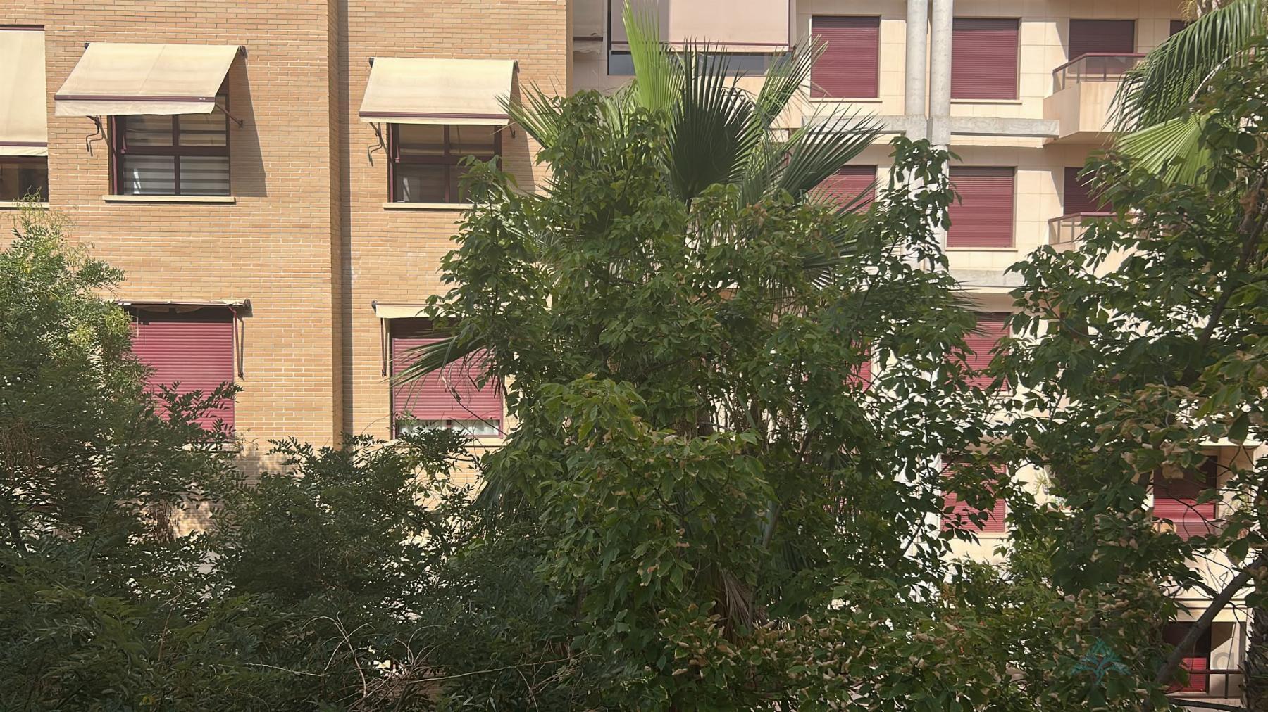 Alquiler de piso en Murcia