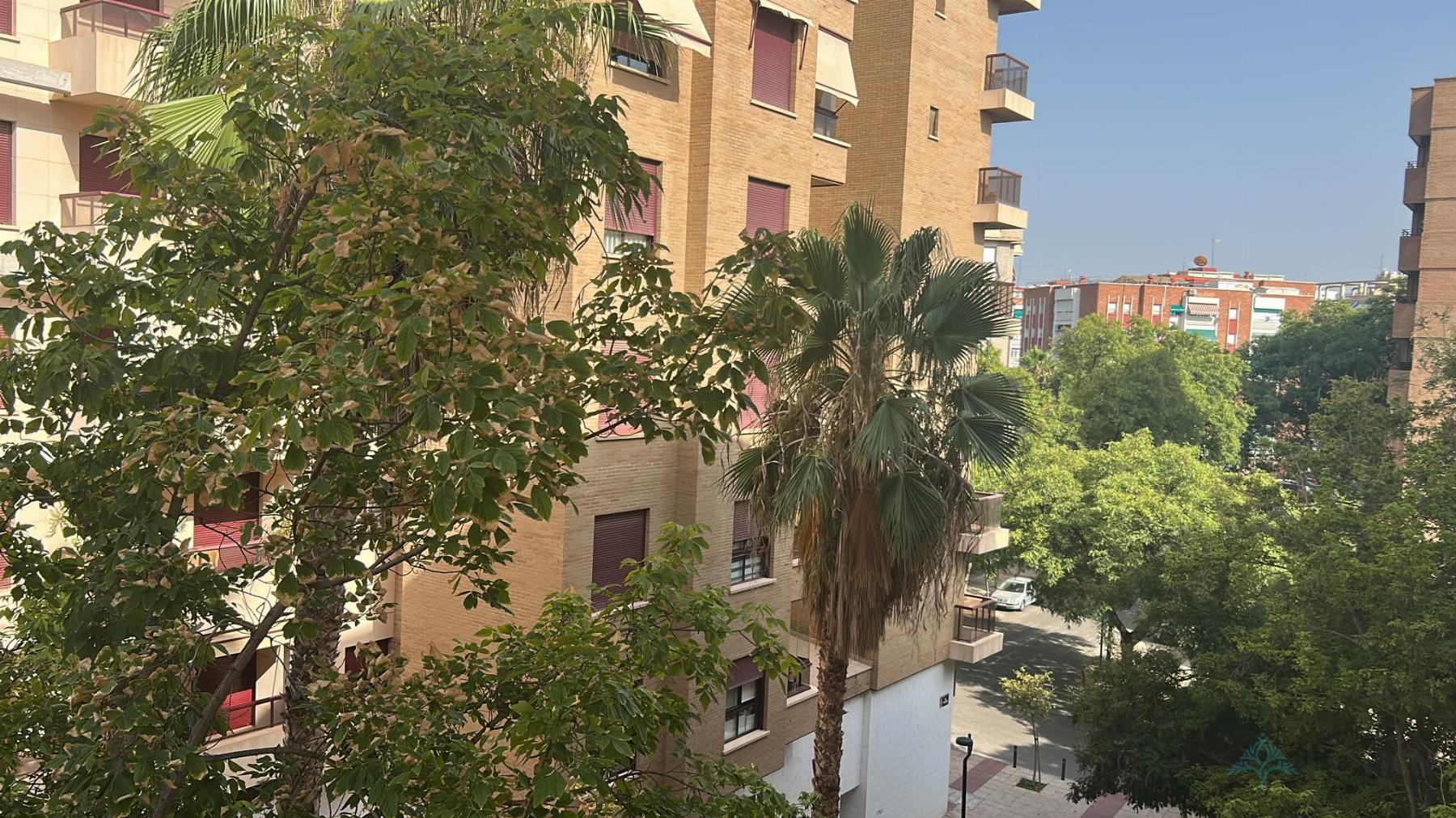 Alquiler de piso en Murcia