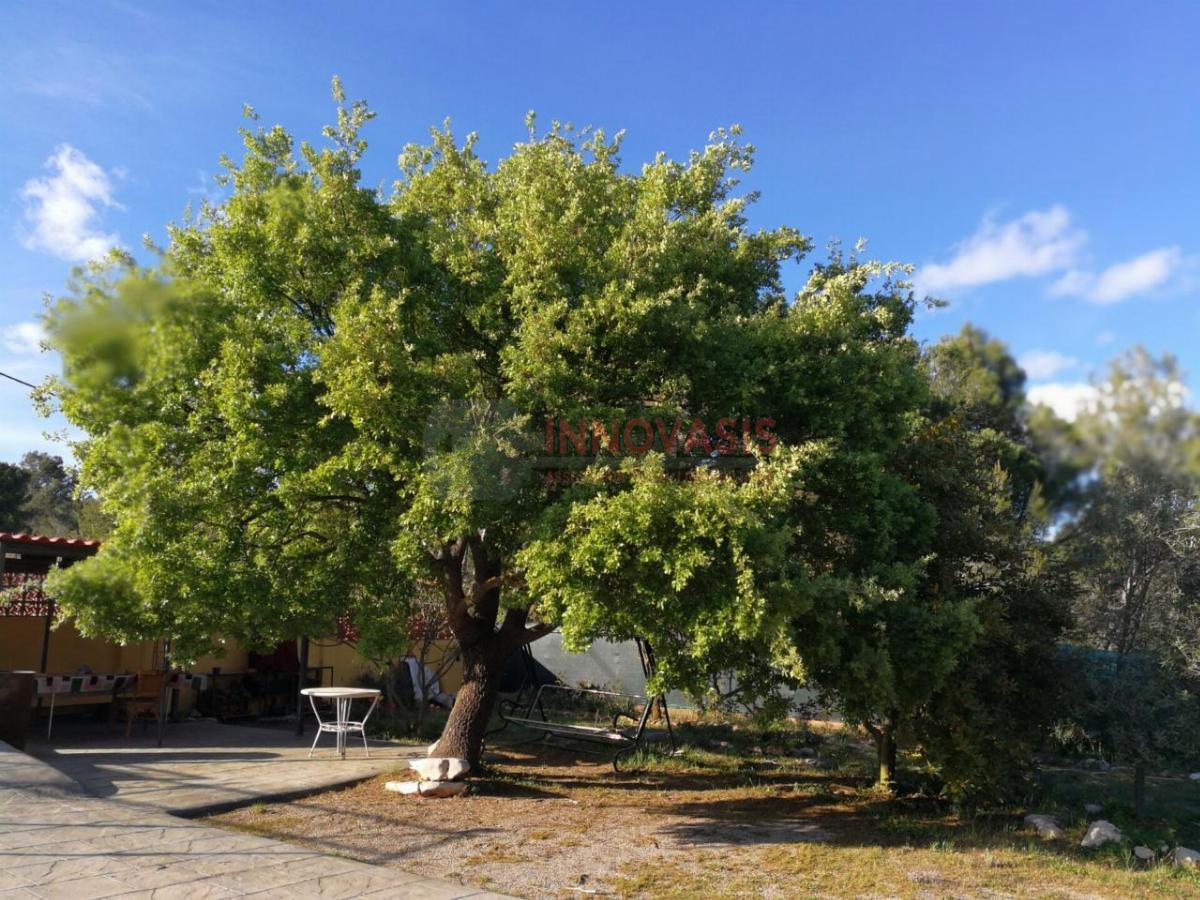 For sale of land in Querol