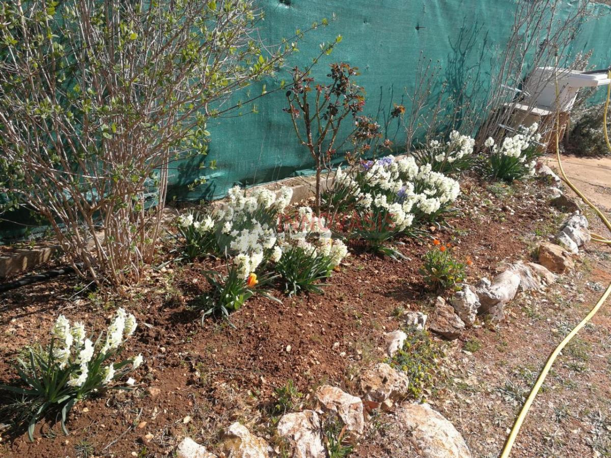 For sale of land in Querol