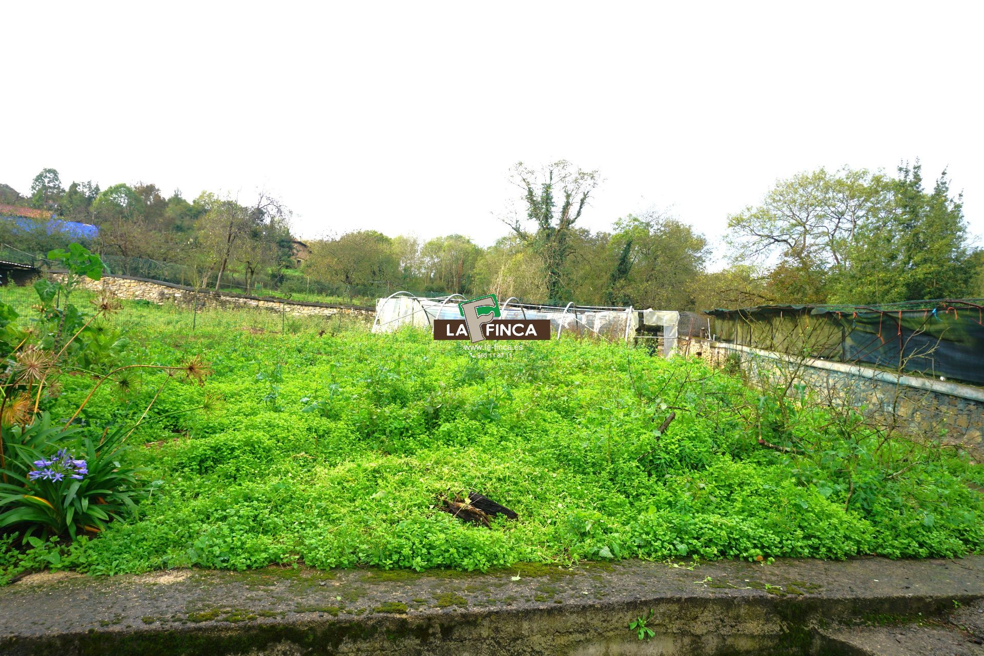 Venta de villa en Oviedo