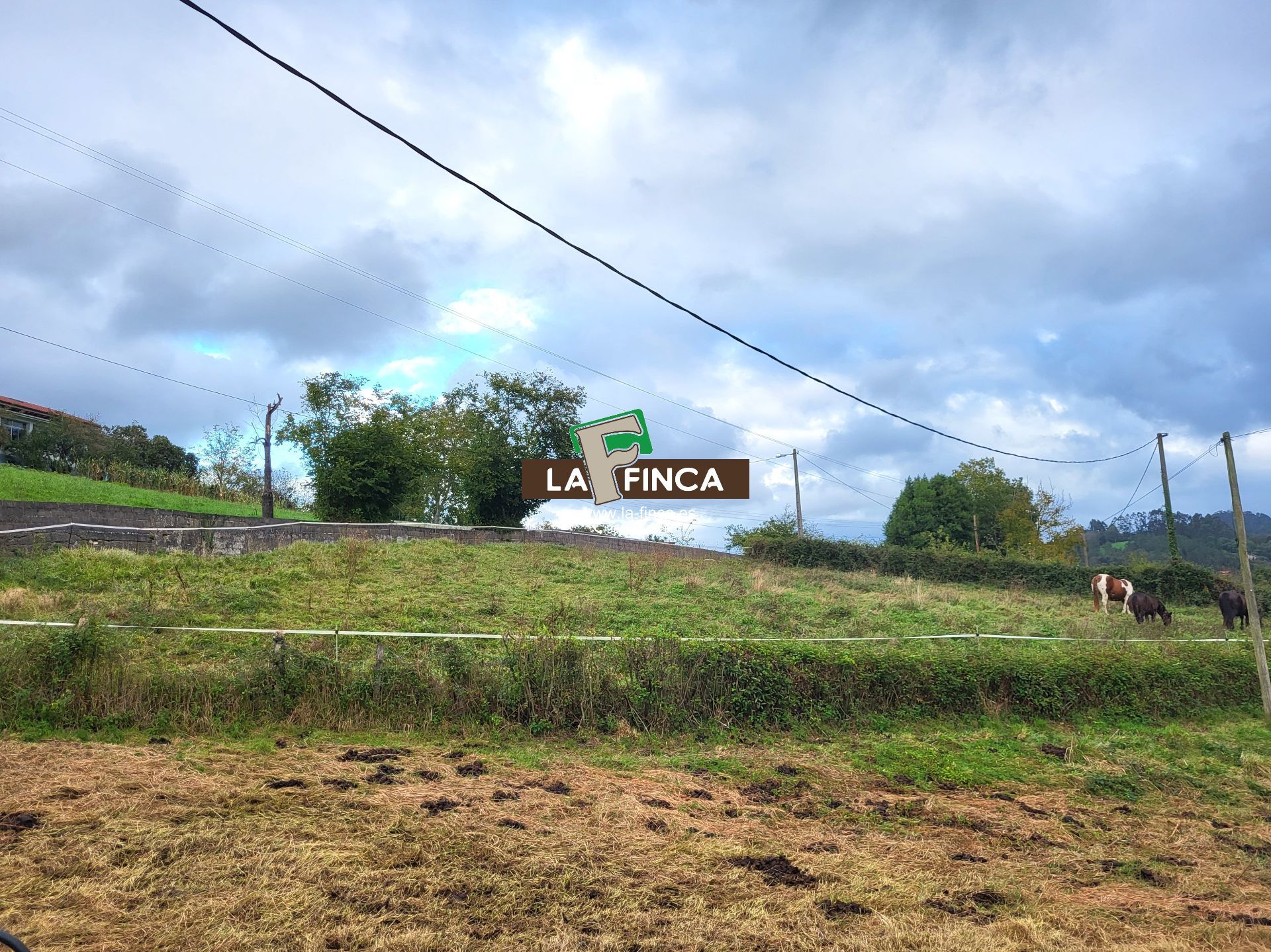 For sale of land in Siero