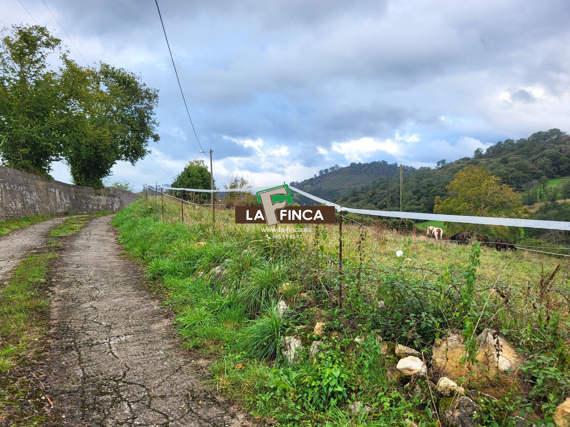 For sale of land in Siero