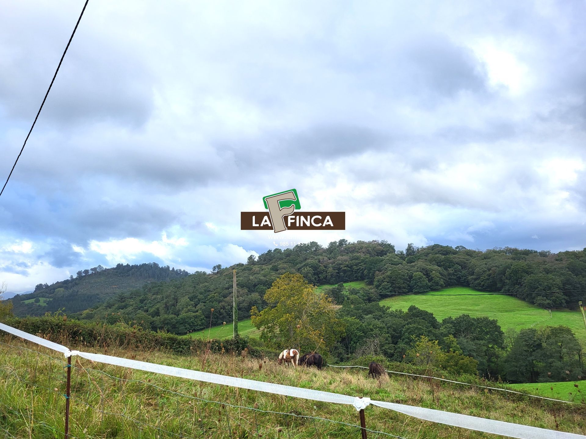 For sale of land in Siero