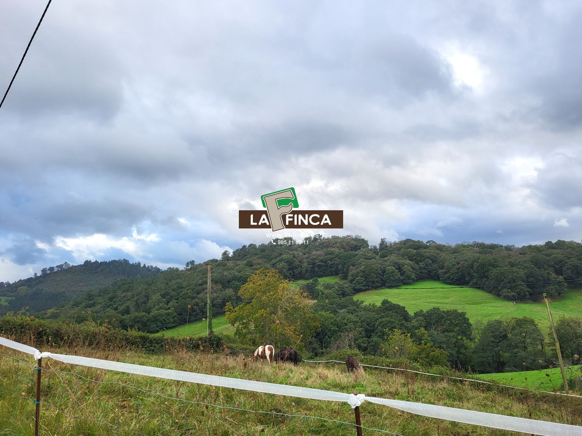 For sale of land in Siero