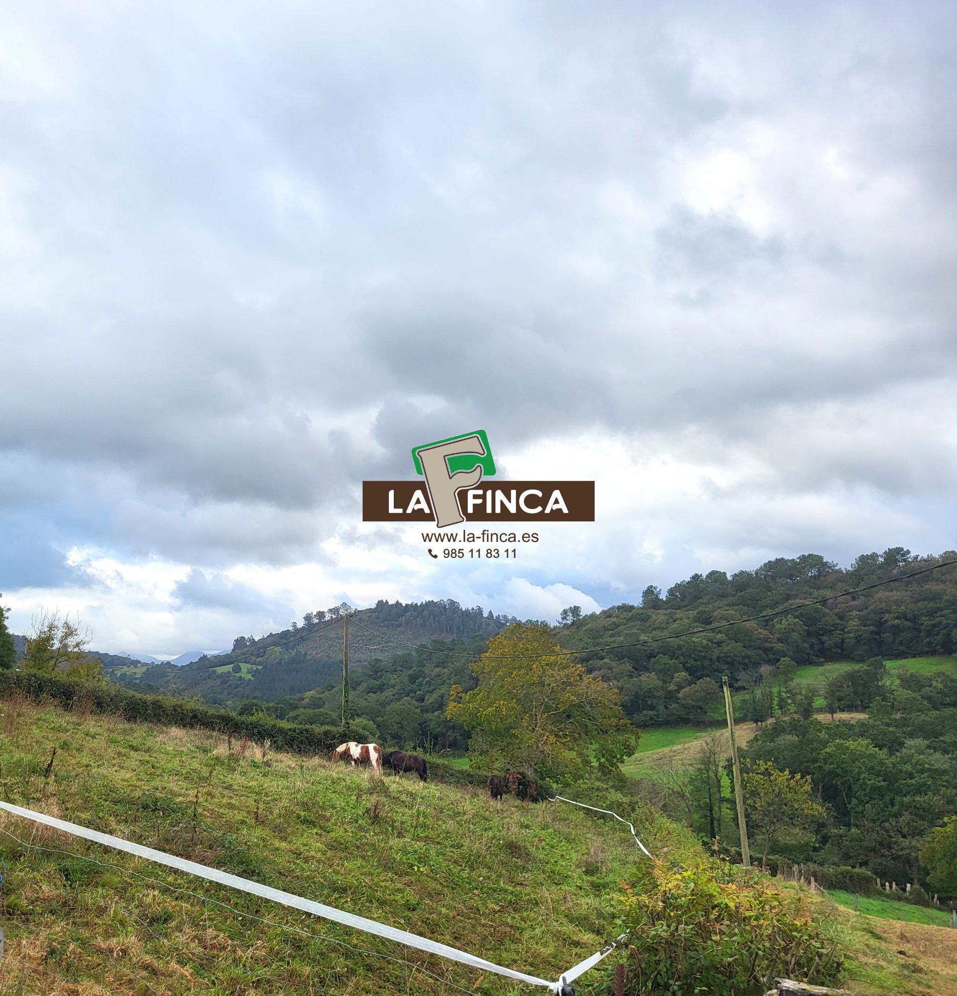 For sale of land in Siero