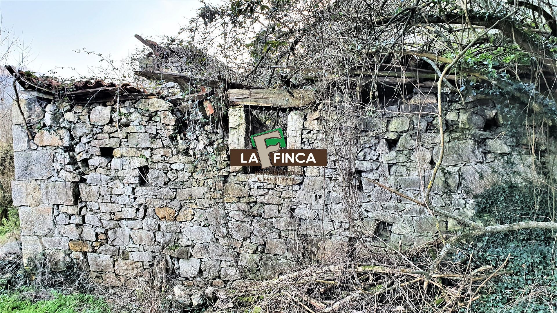 For sale of house in Oviedo