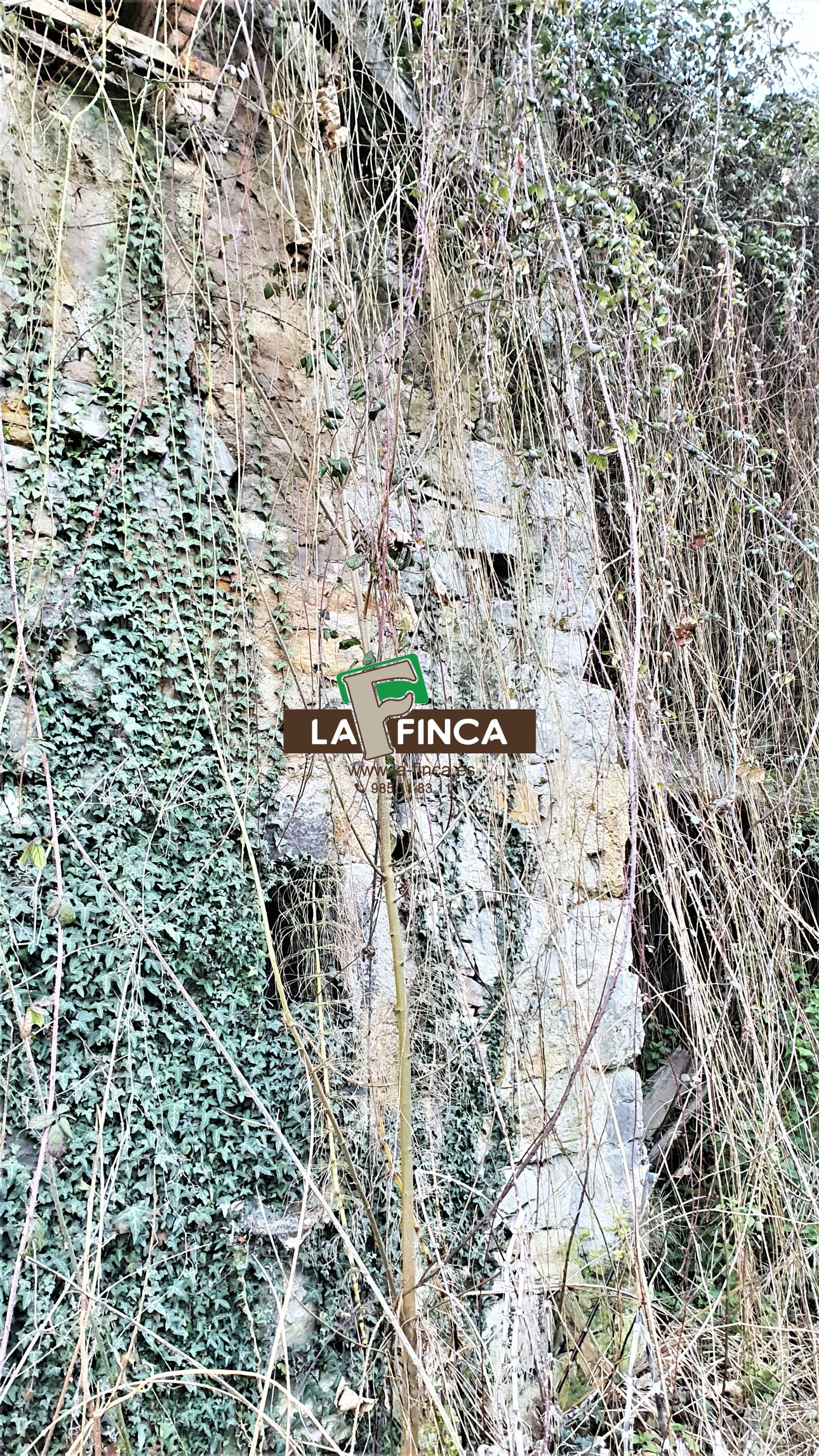 For sale of house in Oviedo