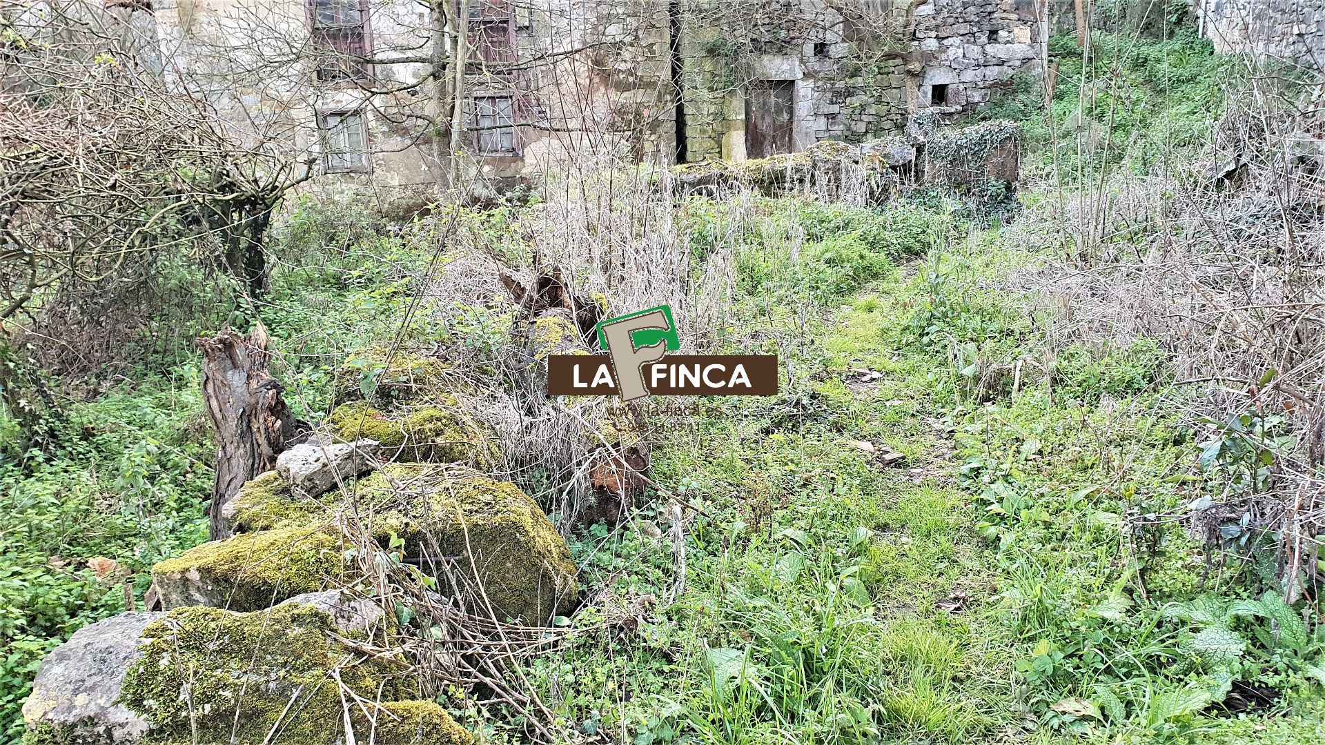 For sale of house in Oviedo