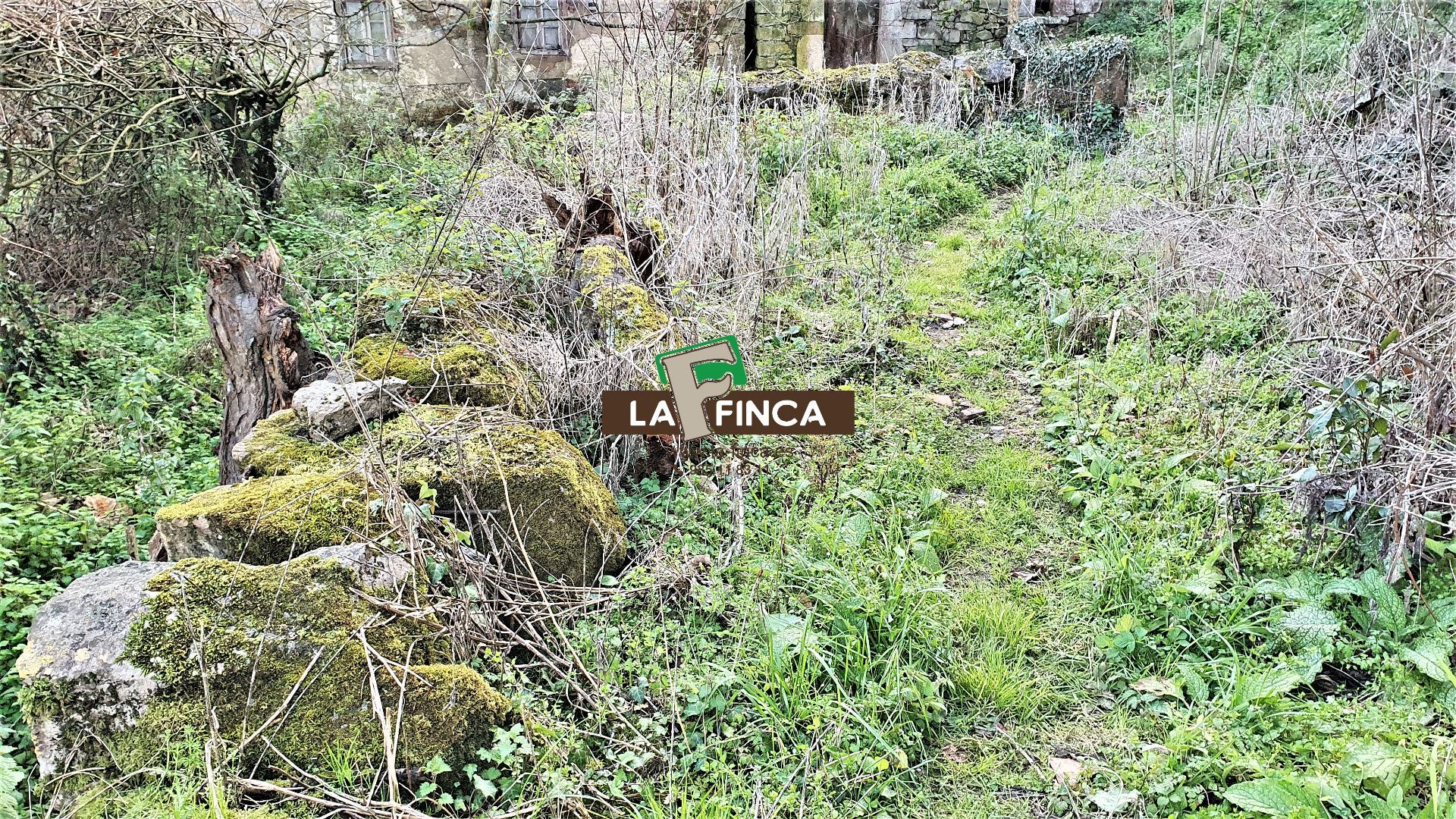 For sale of house in Oviedo