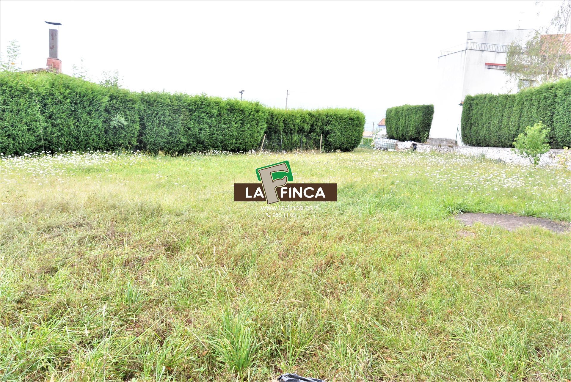 For sale of land in Siero