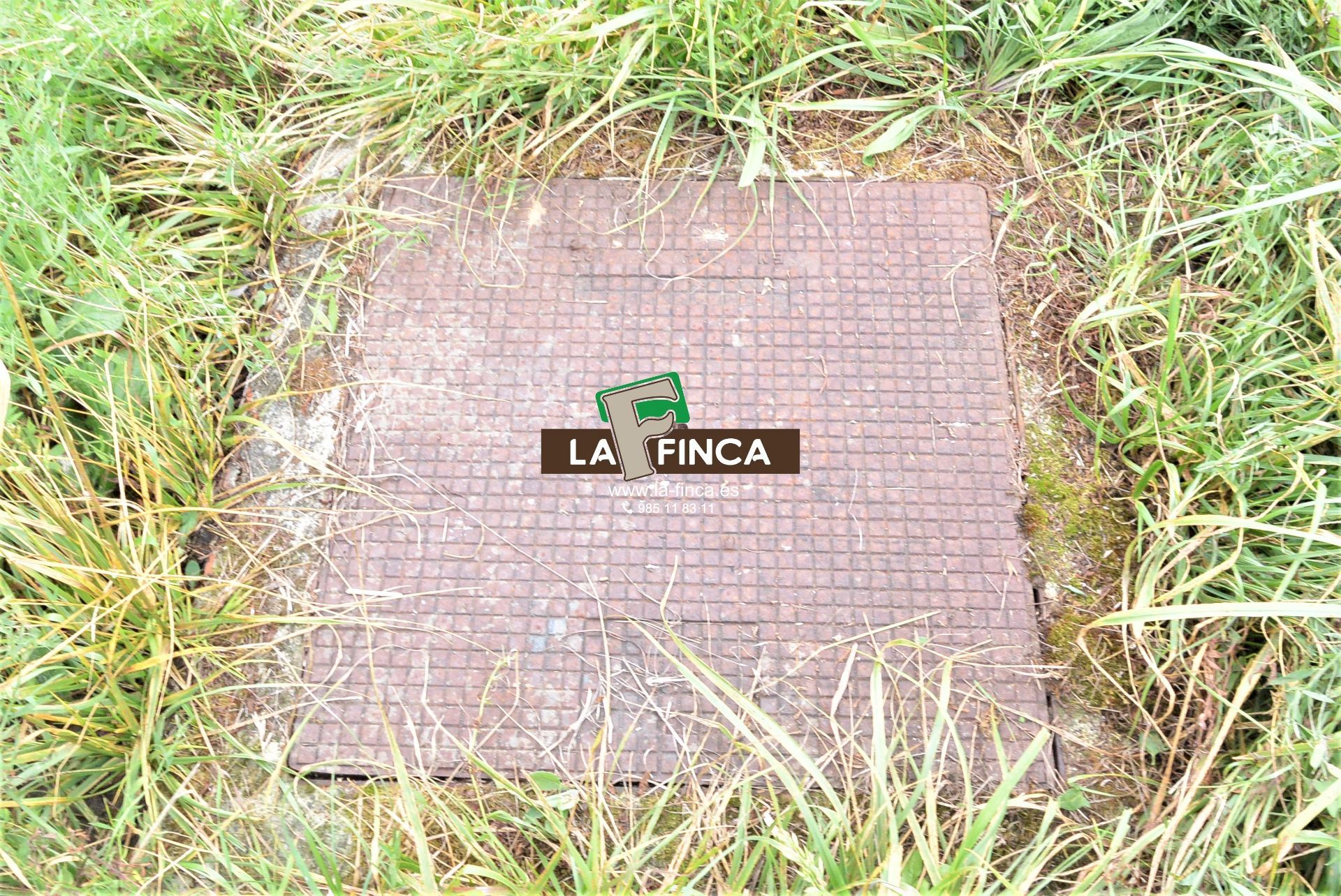 For sale of land in Siero