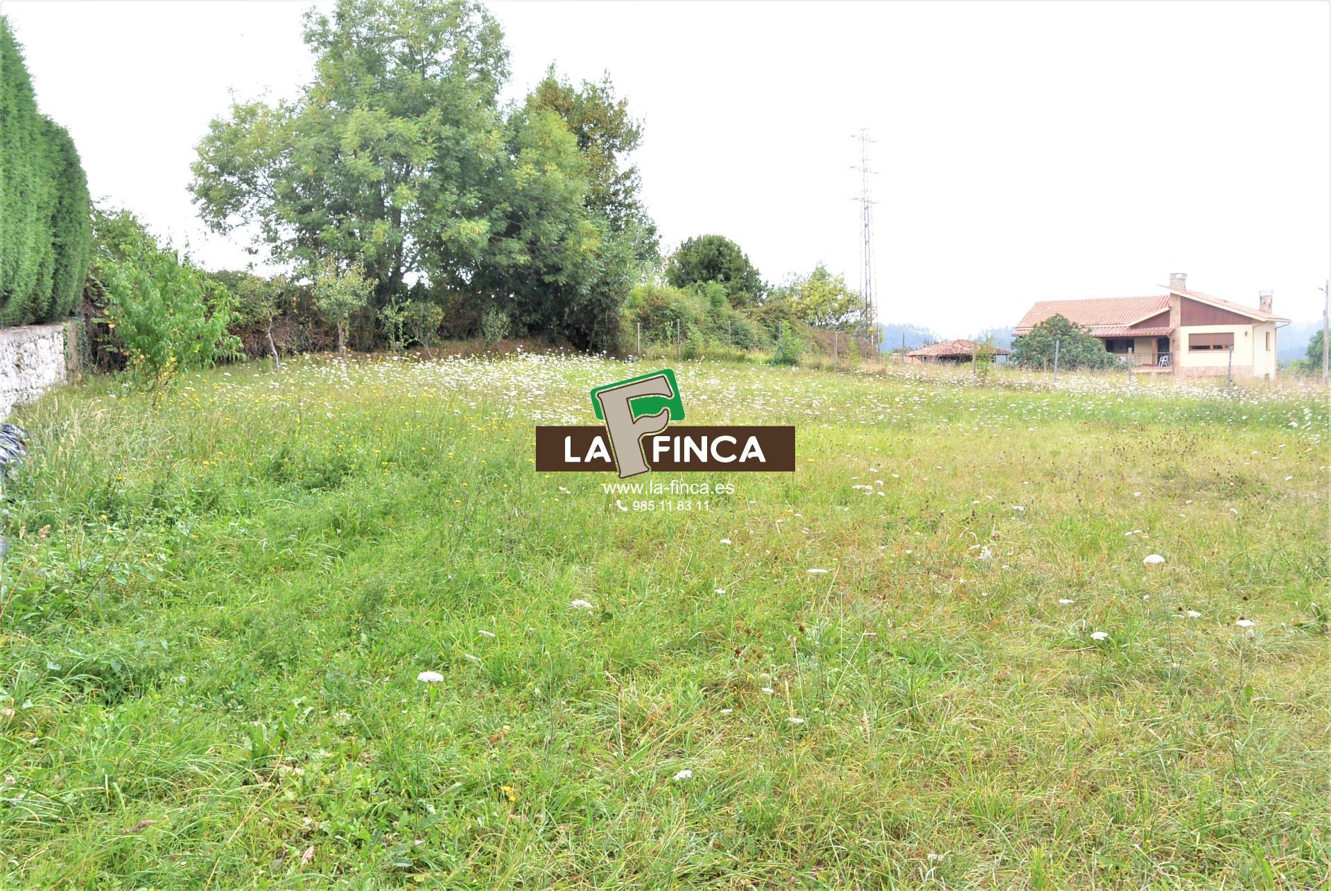 For sale of land in Siero