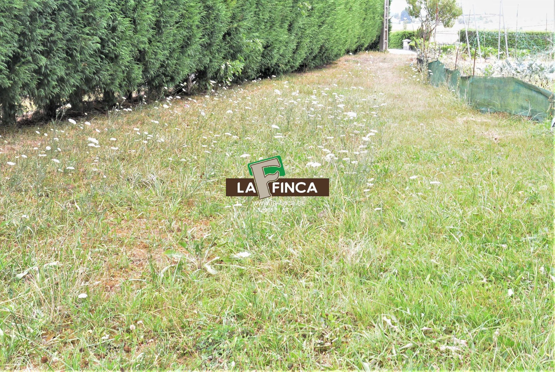 For sale of land in Siero