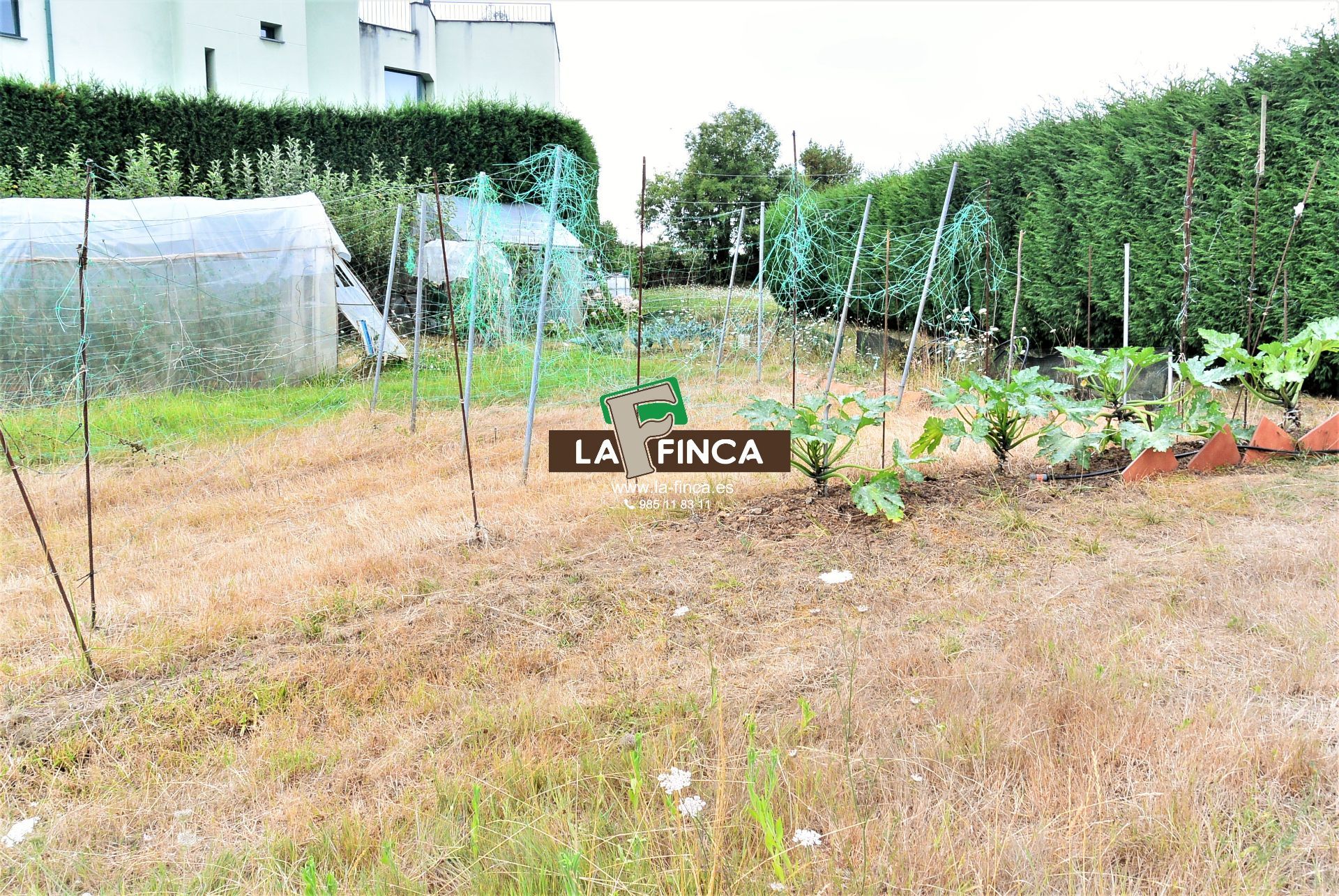 For sale of land in Siero
