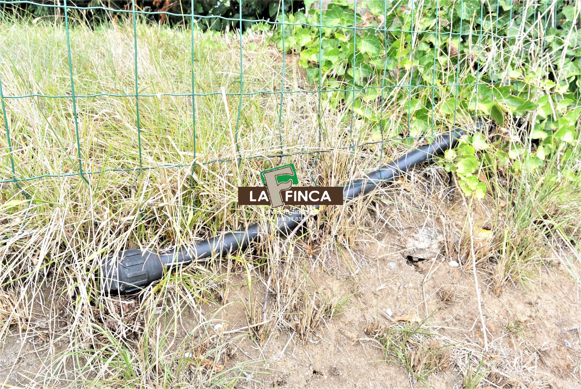 For sale of land in Siero