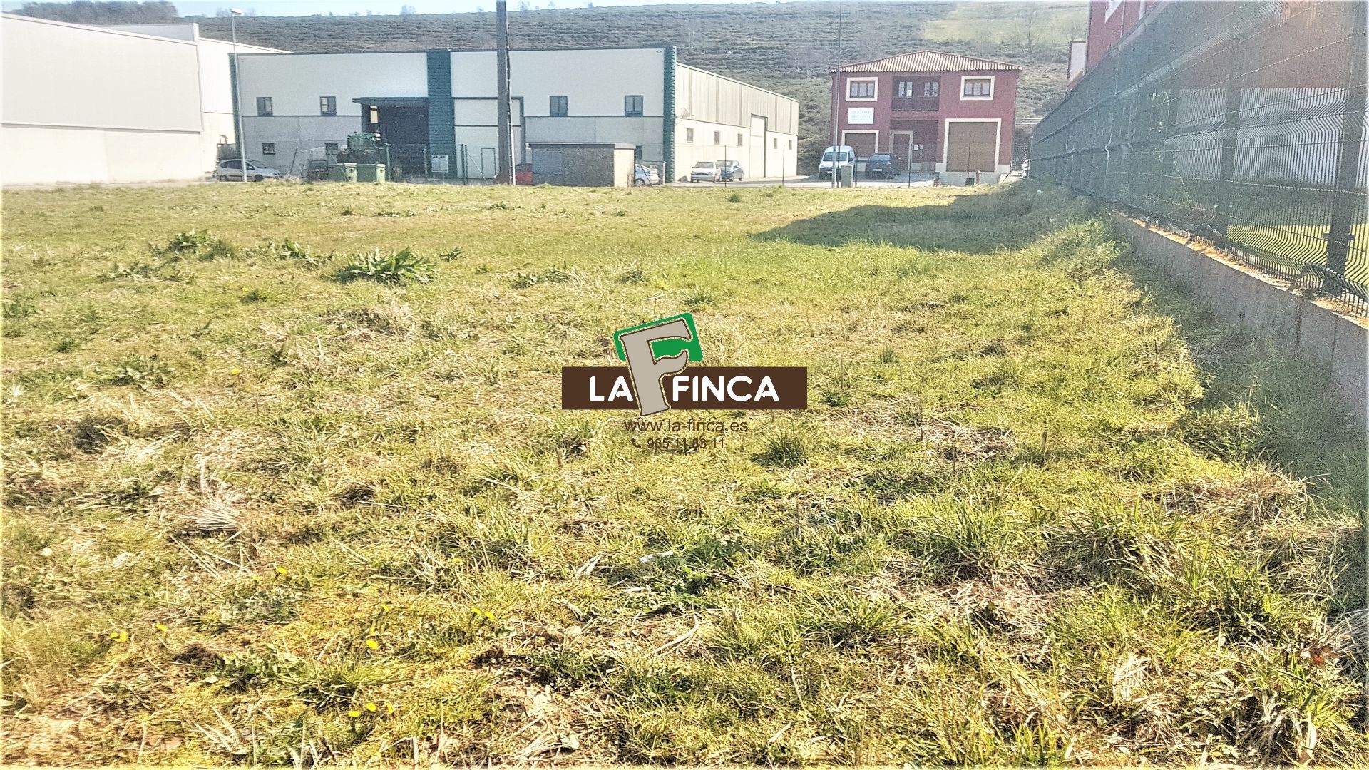 For sale of land in Salas