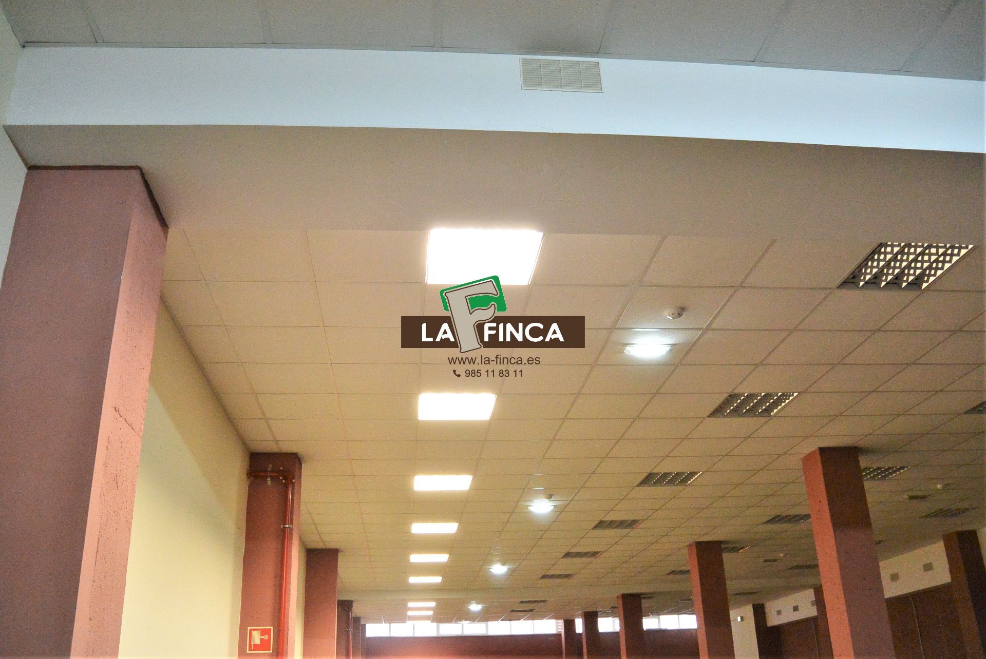 For rent of premises in Oviedo