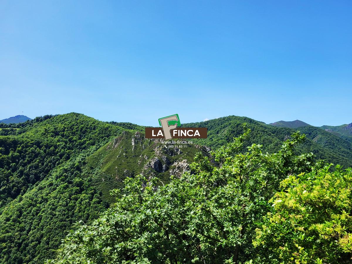 Venta de casa en Teverga