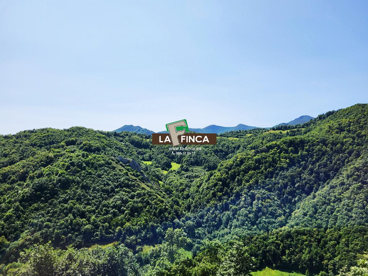 Venta de casa en Teverga