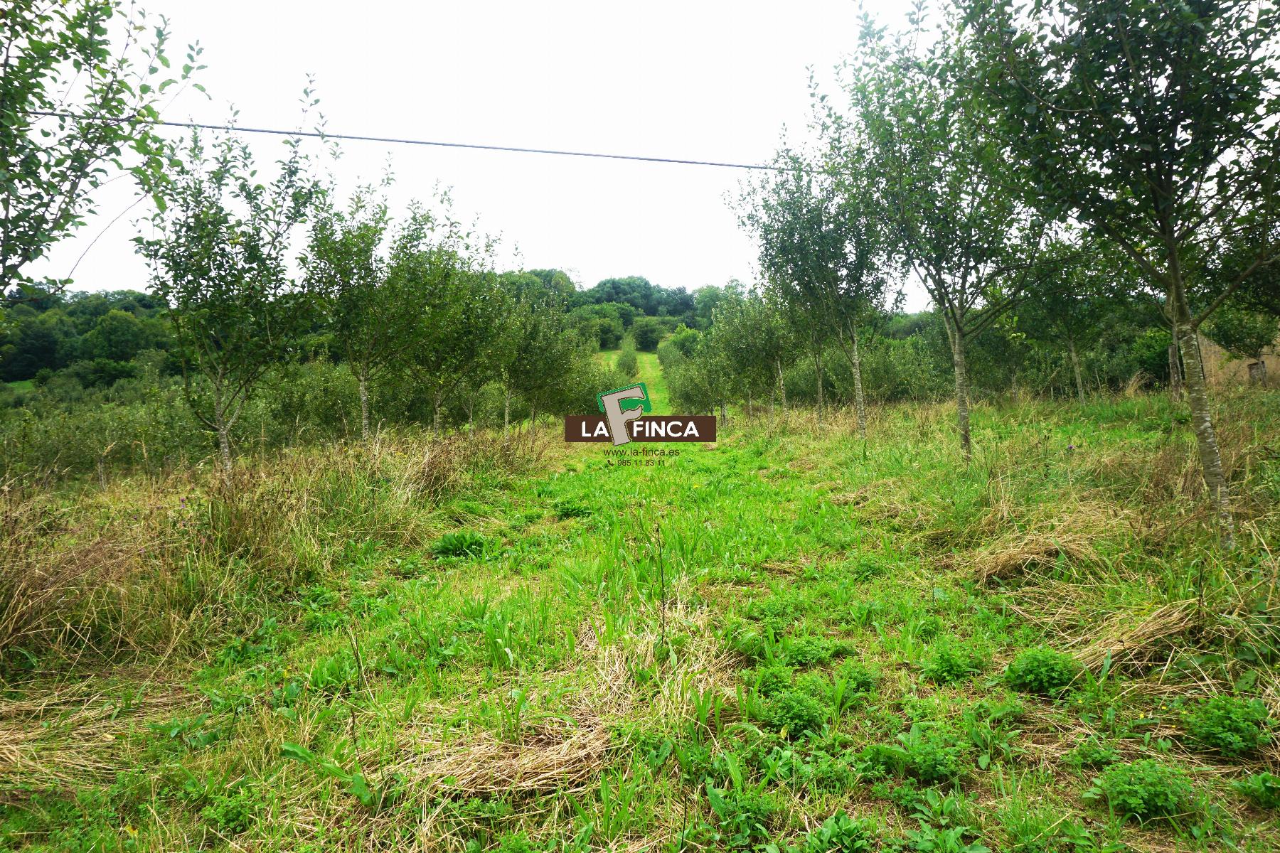 Venta de terreno en Grado