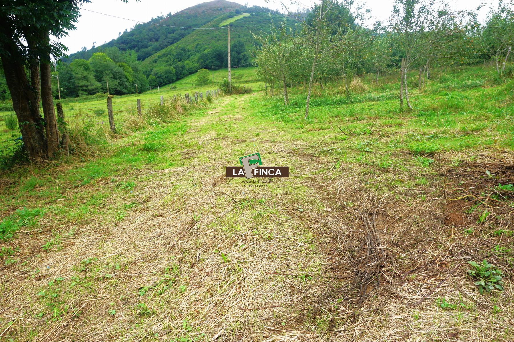 Venta de terreno en Grado