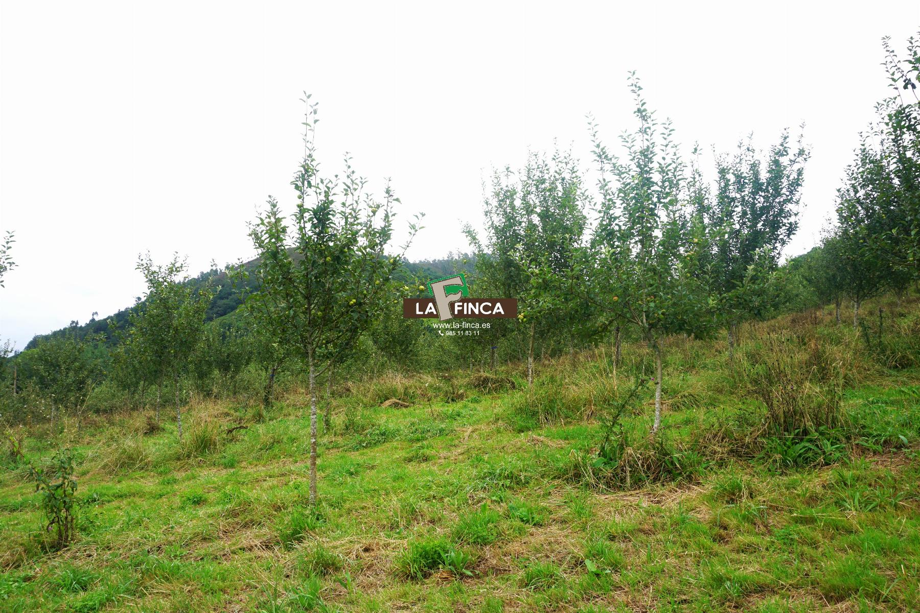 Venta de terreno en Grado